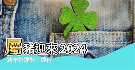 屬豬幸運色2024|2024豬年開運色速查